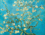 Almond Blossom Poster by Vincent Van Gogh